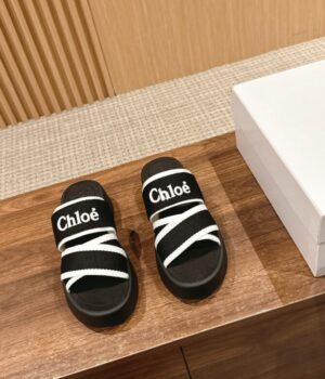 CHLOE Slides
