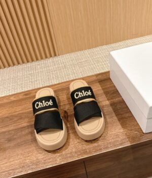 CHLOE Slides