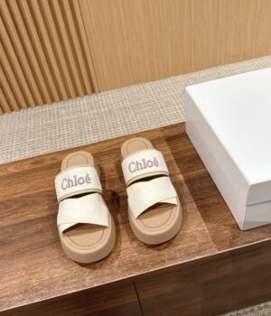 CHLOE Slides