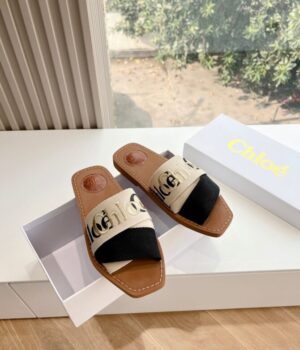 CHLOE Slides