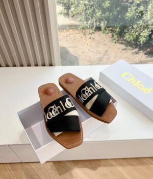 CHLOE Slides