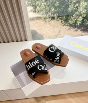 CHLOE Slides