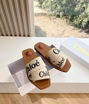 CHLOE Slides