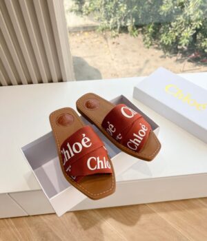 CHLOE Slides