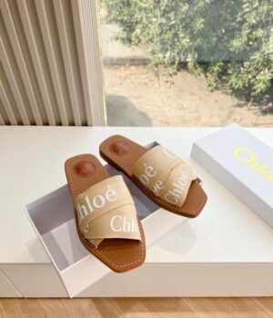 CHLOE Slides