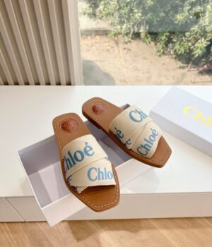 CHLOE Slides
