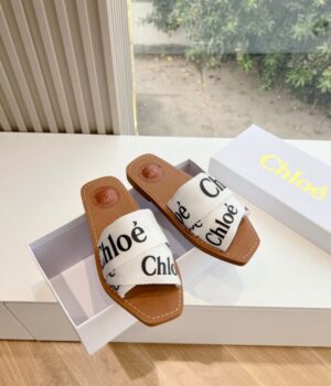 CHLOE Slides