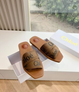 CHLOE Slides