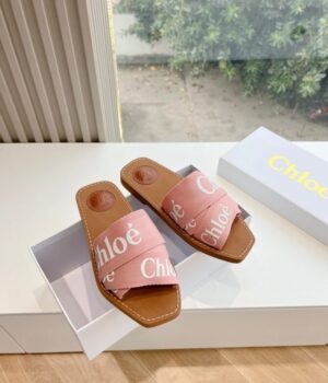 CHLOE Slides
