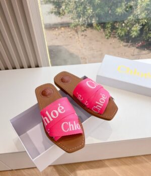 CHLOE Slides