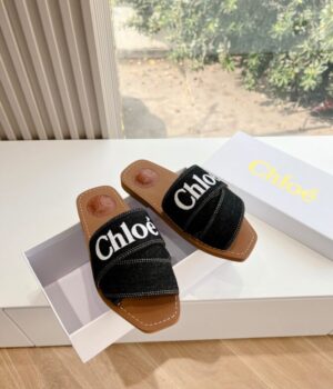 CHLOE Slides