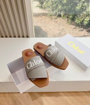 CHLOE Slides