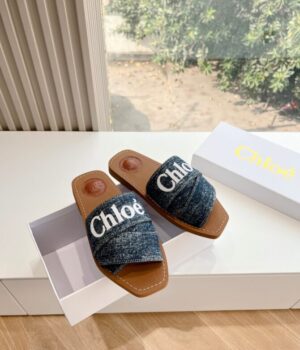 CHLOE Slides