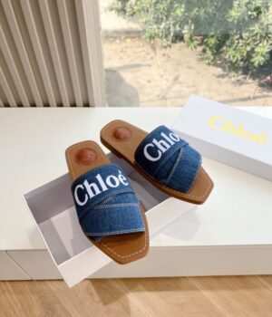CHLOE Slides