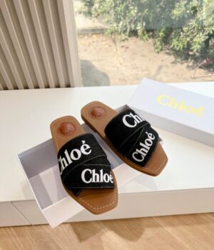 CHLOE Slides