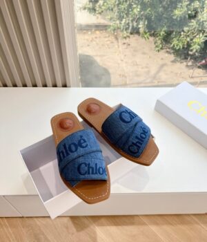 CHLOE Slides
