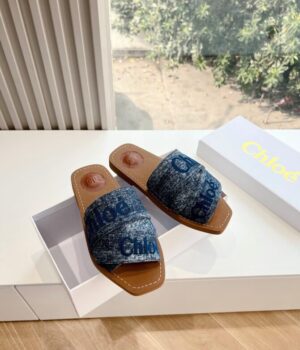 CHLOE Slides