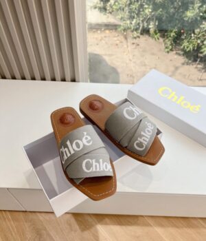 CHLOE Slides