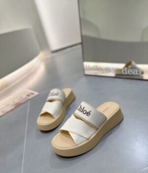 CHLOE Slides