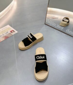 CHLOE Slides