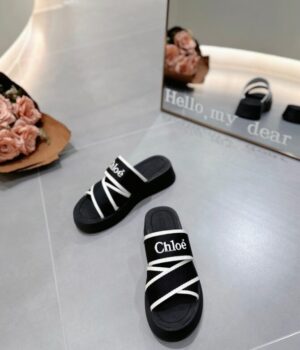 CHLOE Slides