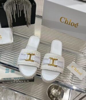 CHLOE Slides
