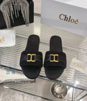 CHLOE Slides