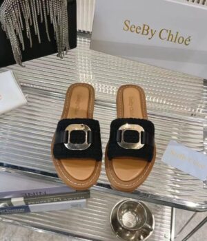 CHLOE Slides