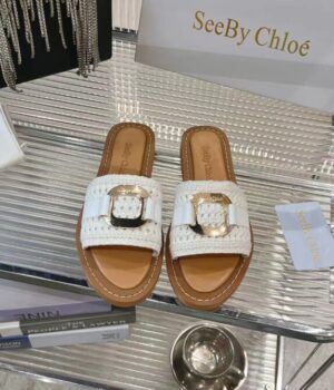 CHLOE Slides