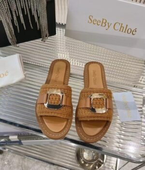 CHLOE Slides