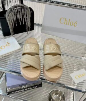 CHLOE Slides