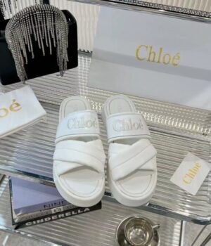 CHLOE Slides