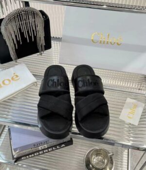 CHLOE Slides