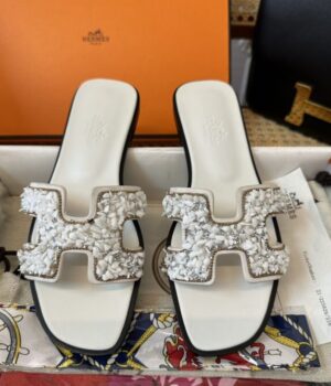 HERMES Slides