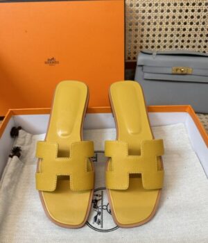 HERMES Slides