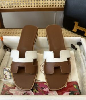 HERMES Slides