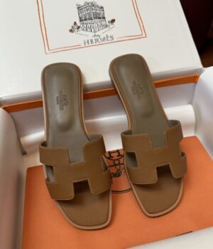 HERMES Slides