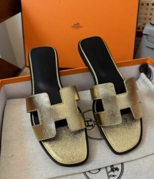 HERMES Slides