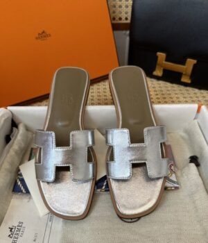 HERMES Slides