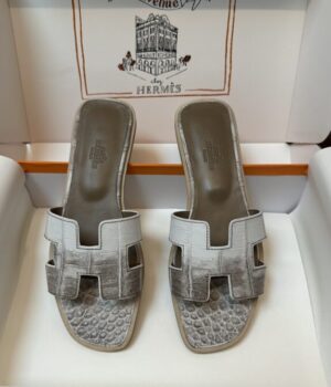 HERMES Slides
