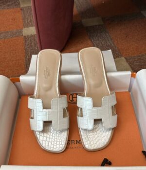 HERMES Slides