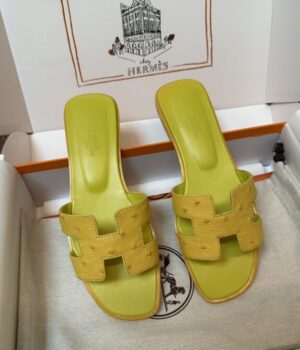 HERMES Slides