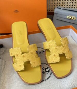 HERMES Slides