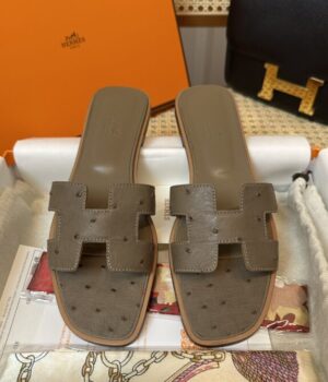 HERMES Slides