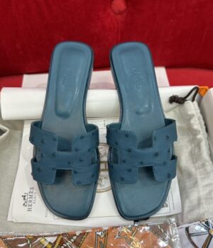 HERMES Slides