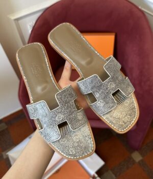 HERMES Slides