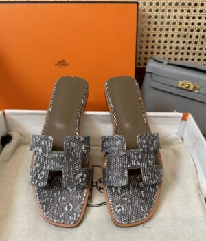 HERMES Slides