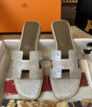 HERMES Slides