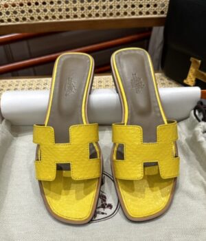 HERMES Slides