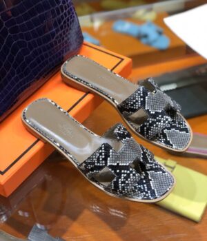 HERMES Slides